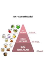 105 - Stronger With You 50mL Erkek Parfüm - Görsel 4