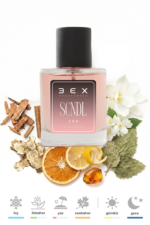 208 - Scandal 50mL Kadın Parfüm