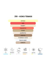 210 - Hypnotic Poison 50ml Kadın Parfüm - Görsel 4