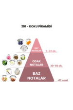 210 - Hypnotic Poison 50ml Kadın Parfüm - Görsel 5