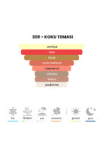 309 - Tobacco Vanilla - T. Vanil 50mL Unisex Parfüm - Görsel 3