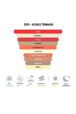 310 - Lostt Cherry 50mL Unisex Parfüm - Görsel 3