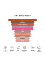 311 - L.v Ombre Nomade 50mL Unisex Parfüm - Görsel 4