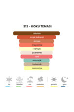 313 - Bit. Peach - Peach 50mL Unisex Parfüm - Görsel 5