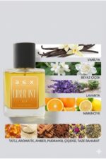 217 – Liber Intense 50mL Kadın Parfüm - Görsel 4